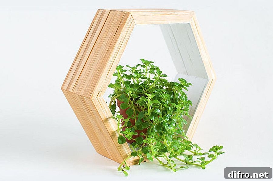 Wooden hexagonal shelves