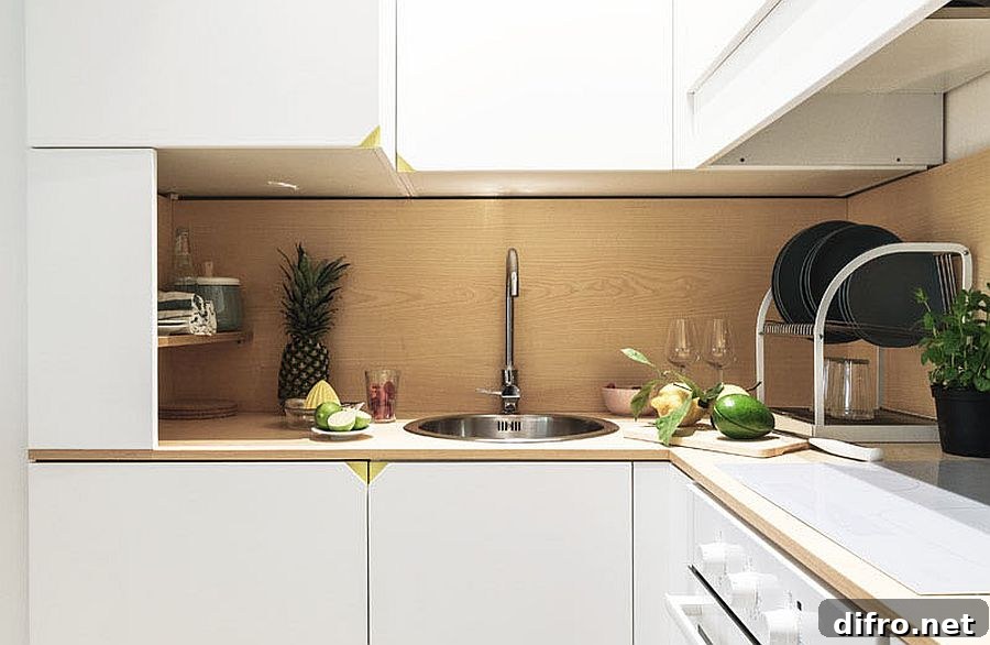 Tiny white kitchen in a micro-apartment