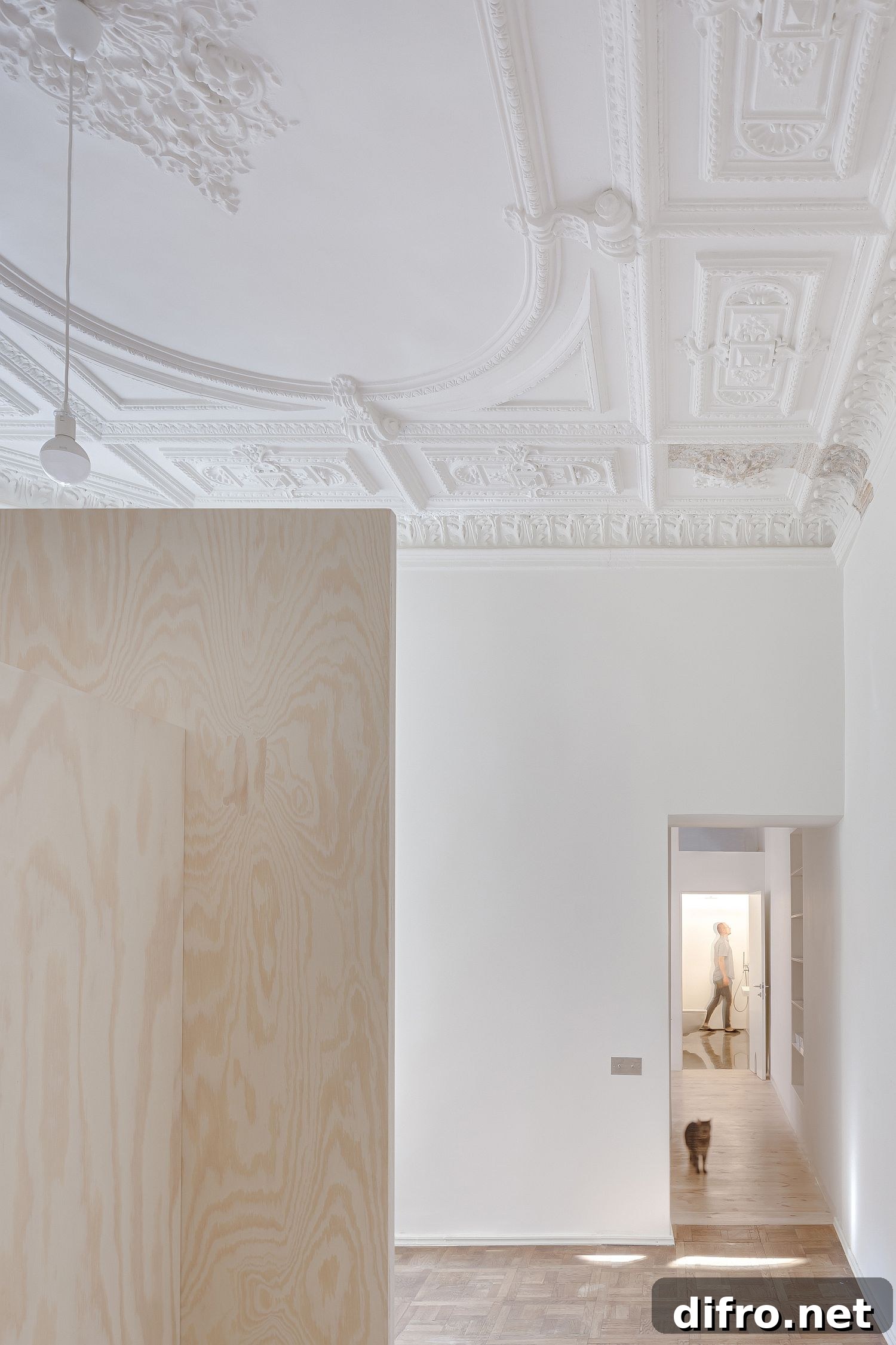 Gorgeous classic ceiling with ornate pattern