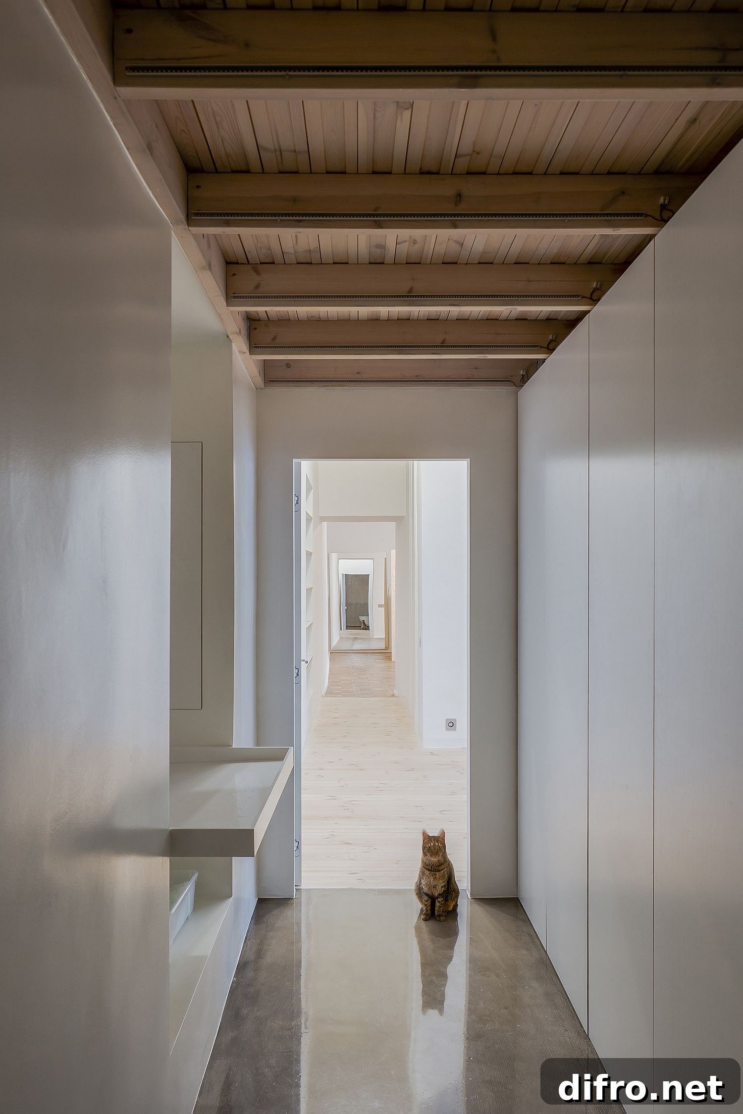 White hallways with wood accents inside the apartment
