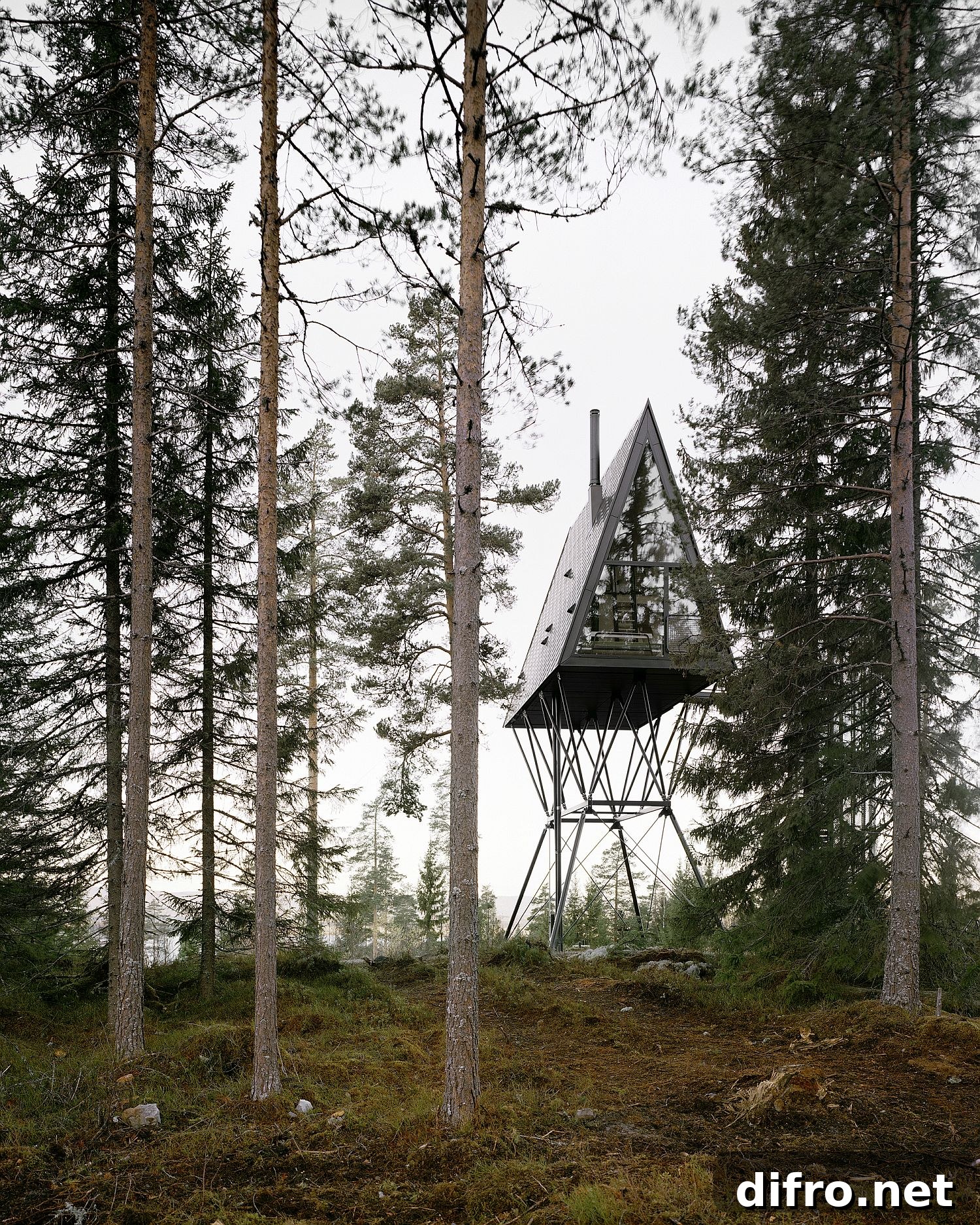 The Finnskogen forest surrounds the cabin on stilts