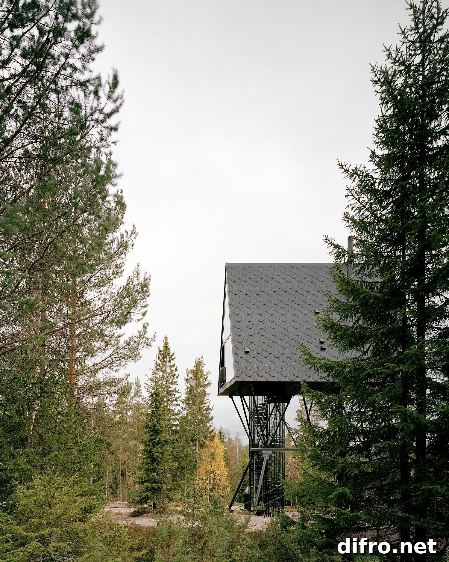 Lush greenery surrounding the PAN cabins