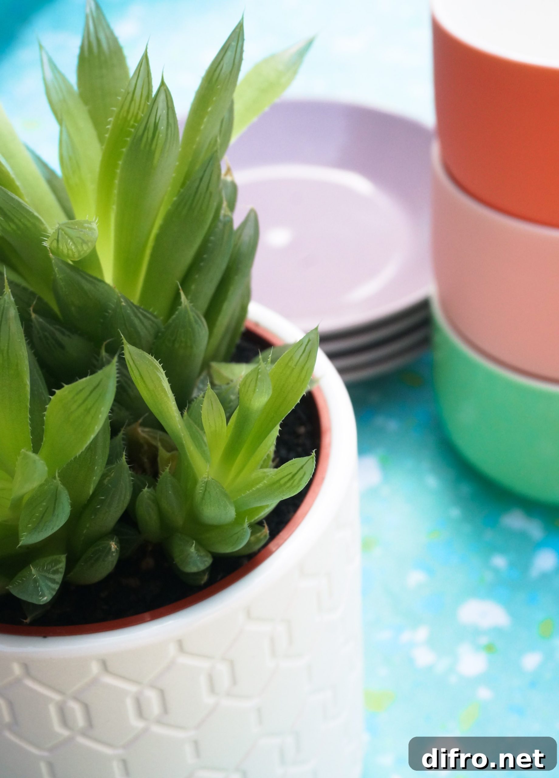 Modern planter with greenery
