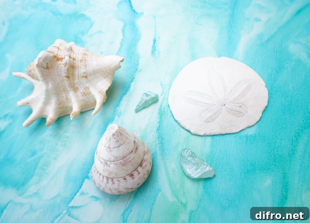 Collection of seashells in a bowl
