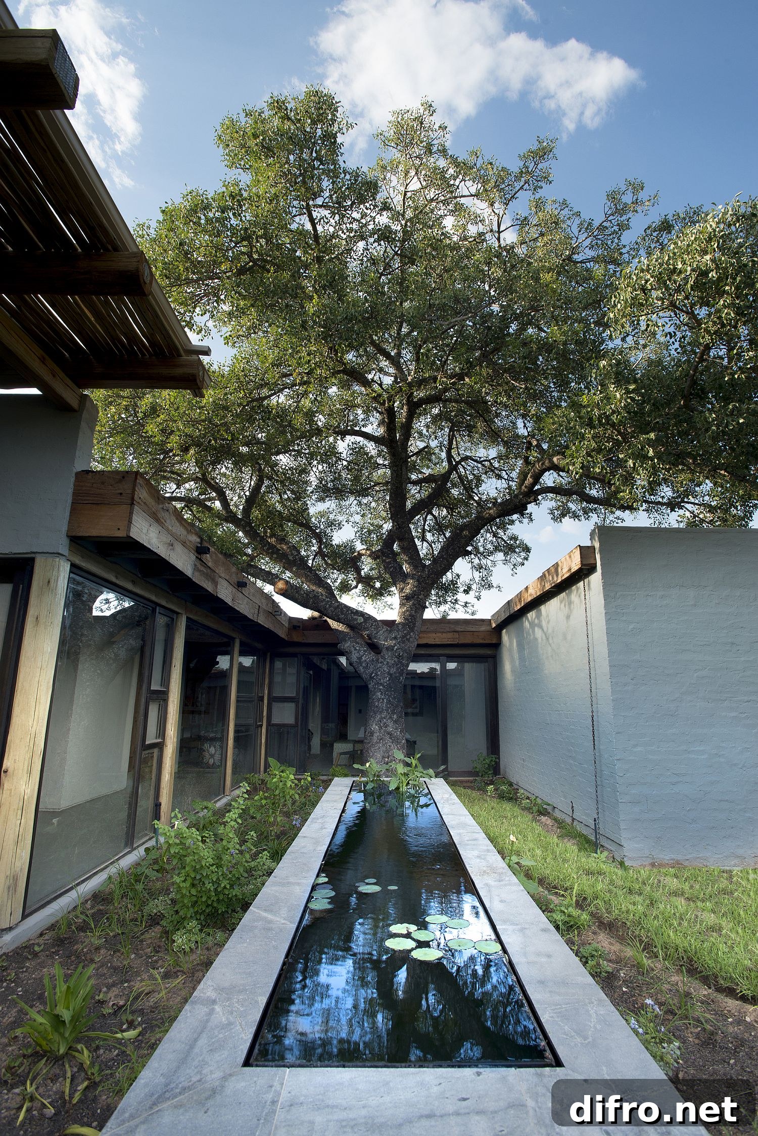 Existing trees carefully integrated into the house design