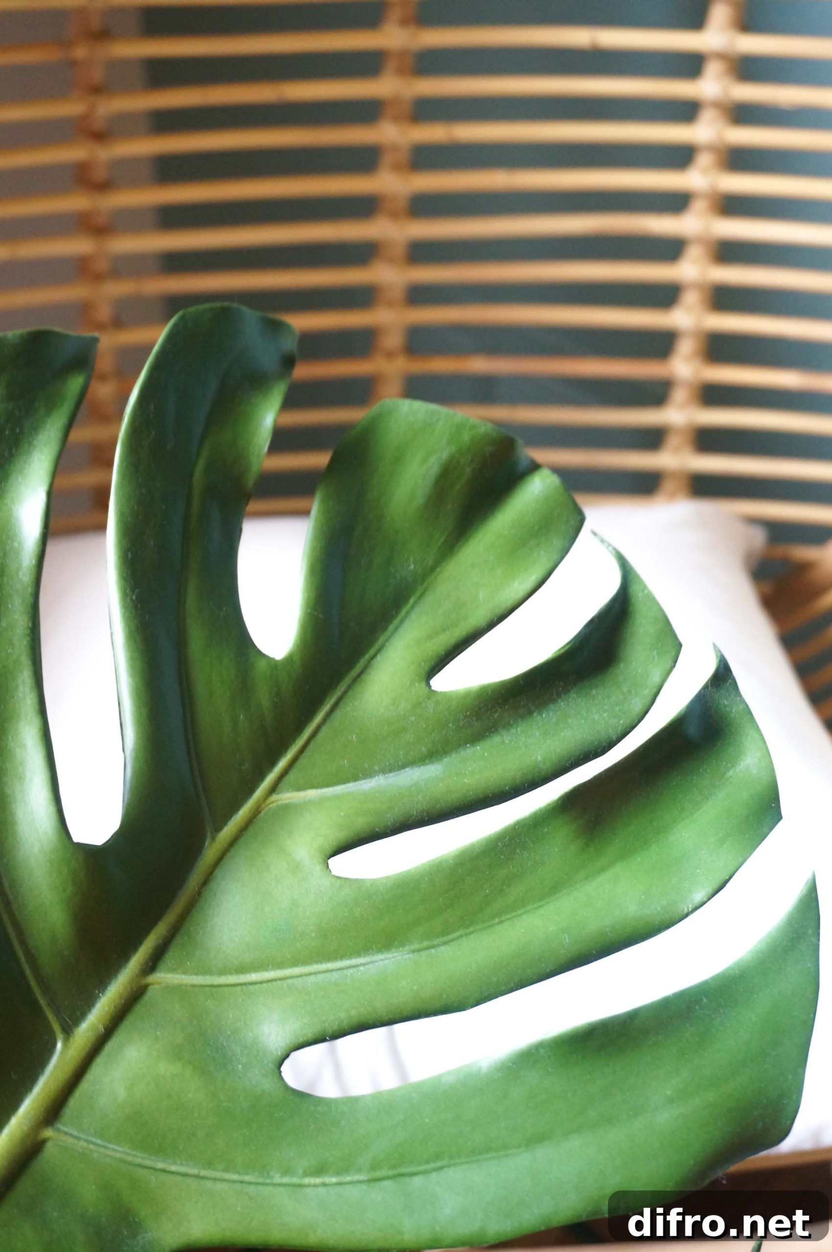 Monstera leaf in a tall vase next to a rattan chair