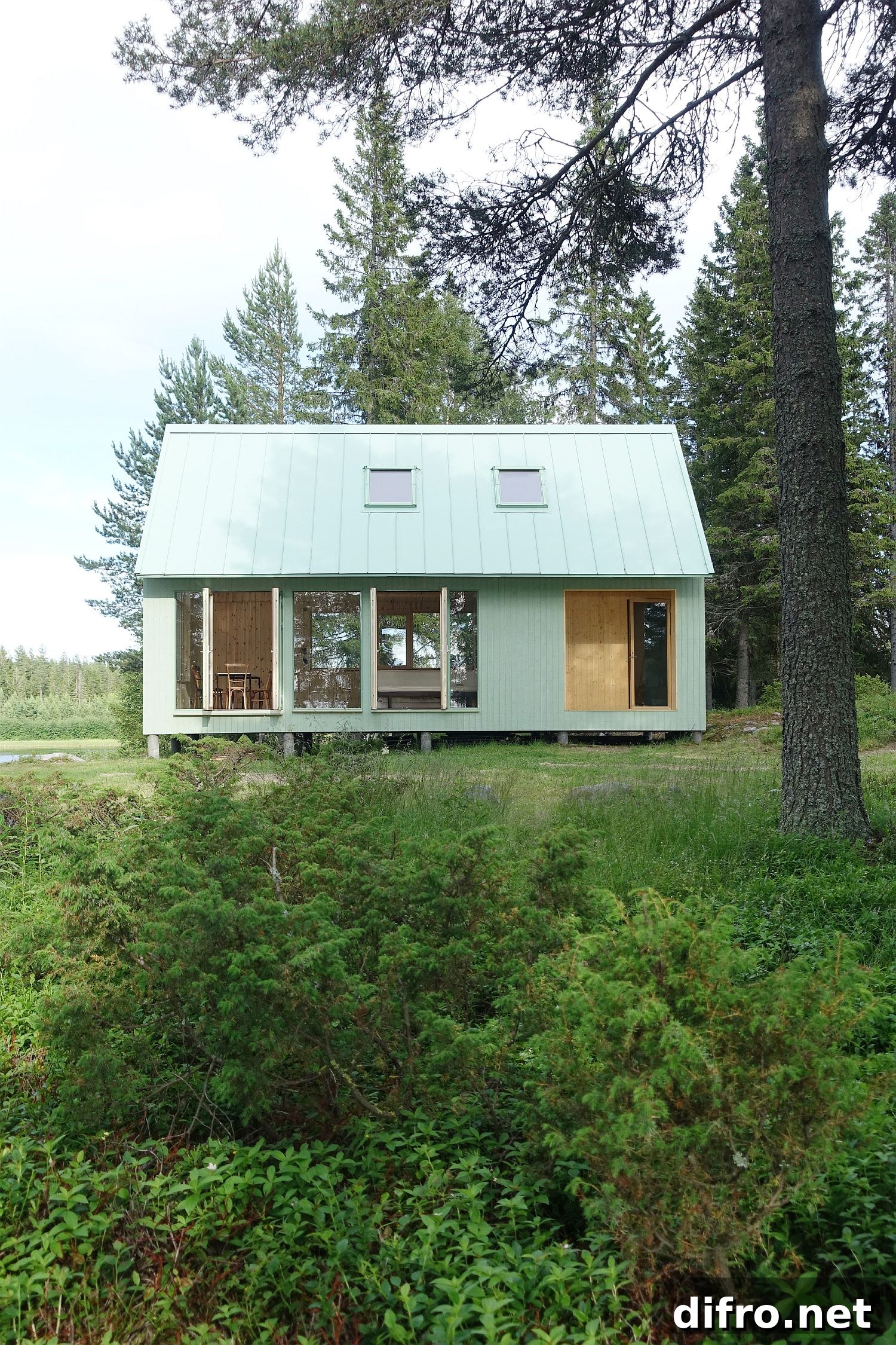 Trees and greenery around the cabin