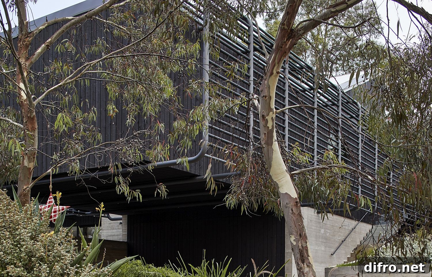 Natural greenery around the house