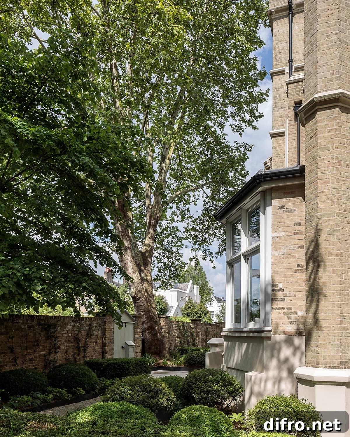 Greenery around the house