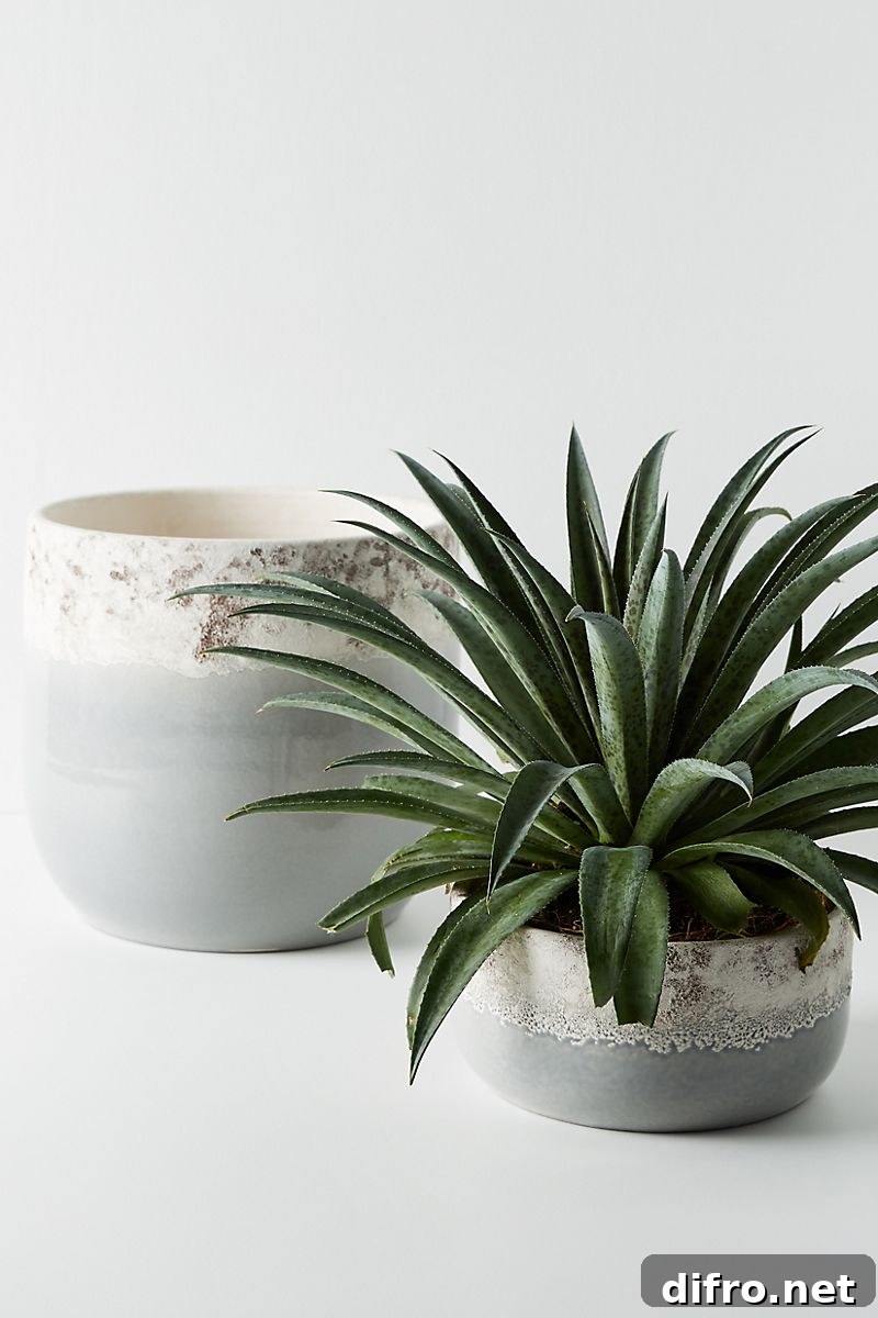 Grey planters