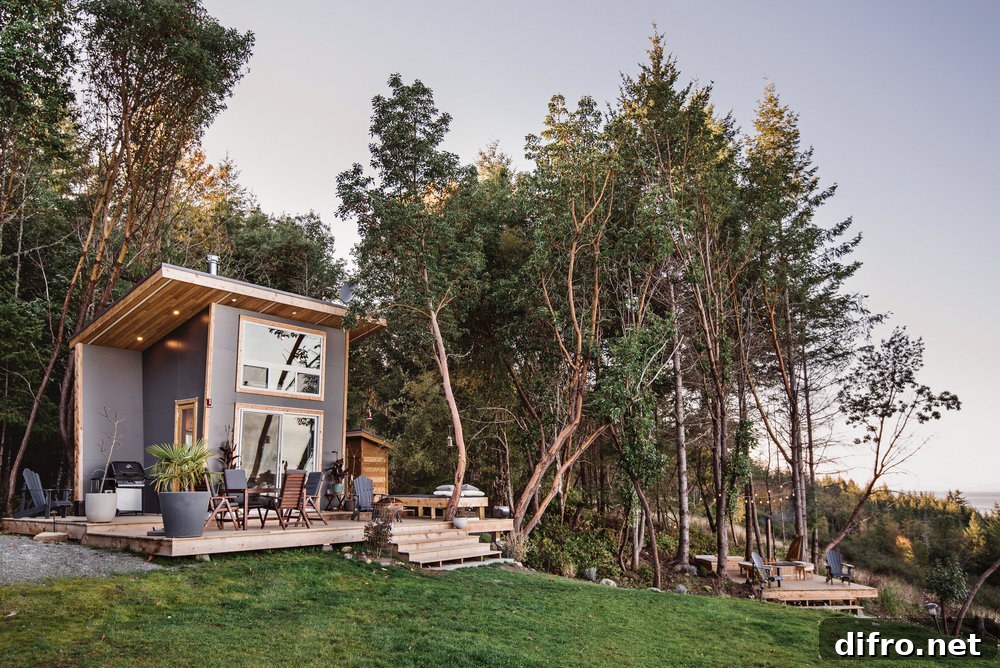 Modern tiny cabin on Galiano Island overlooking scenery