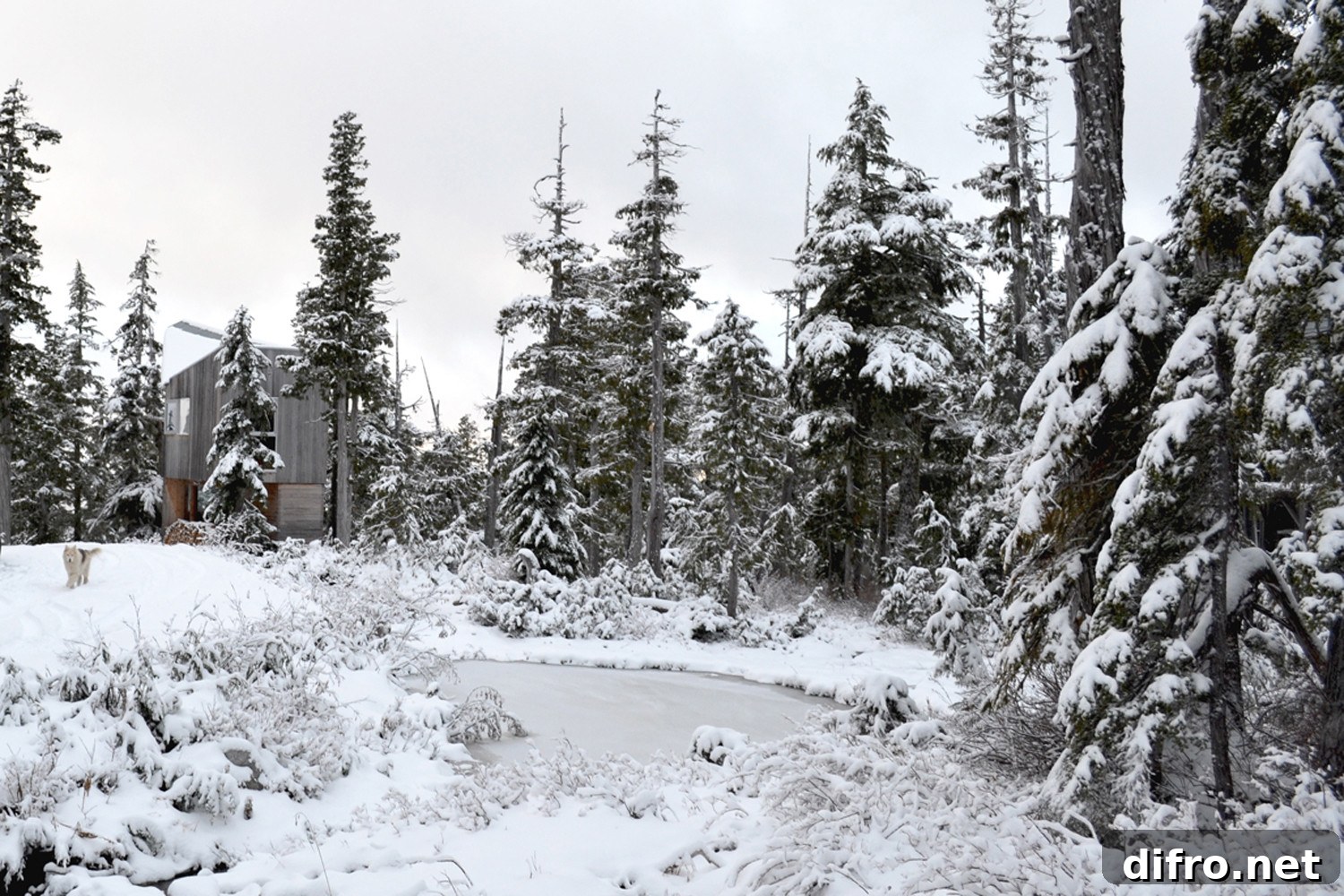Scenic views around the cabin near Port Hardy, Canada