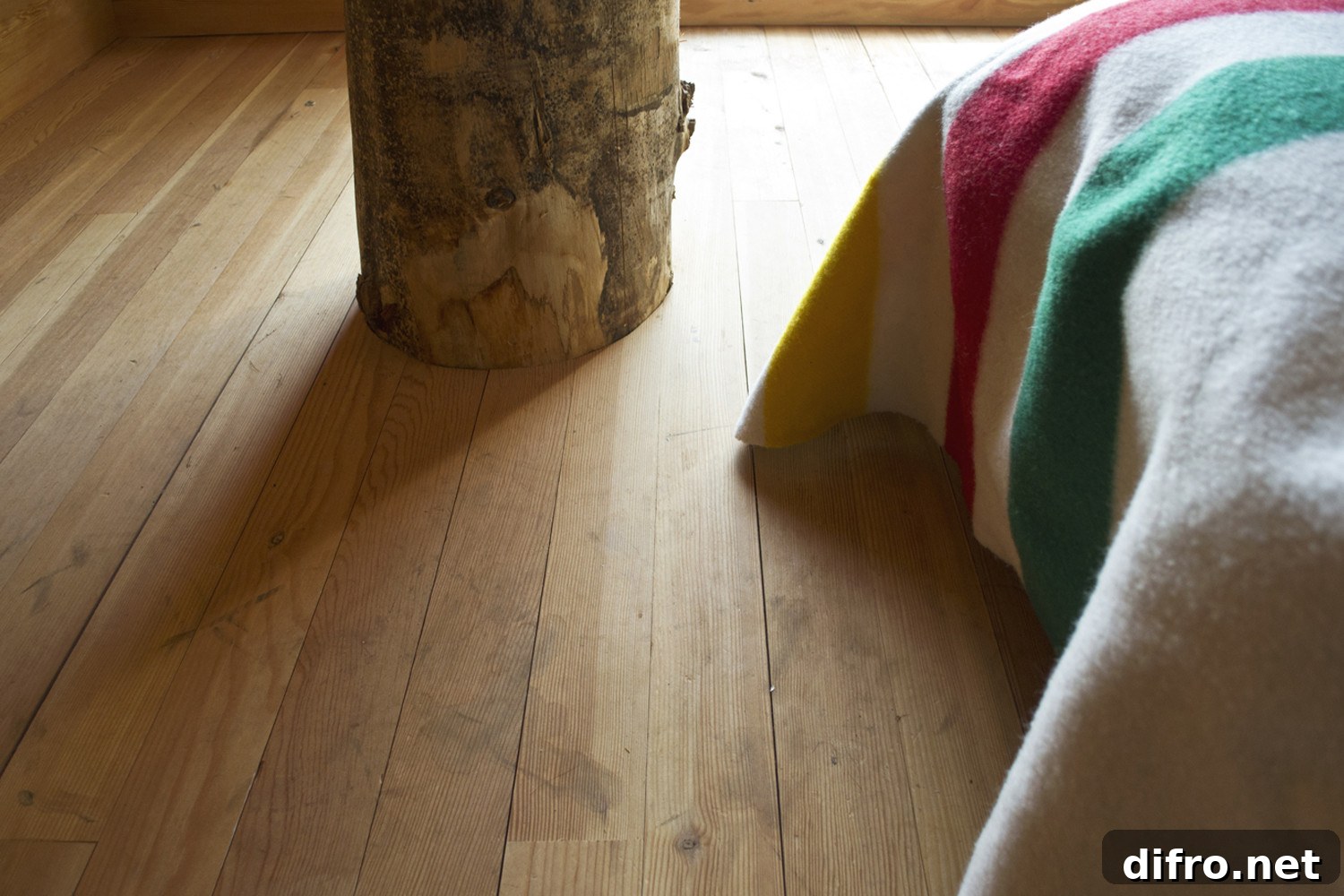 Wood finishes shaping the interior of the cozy cabin