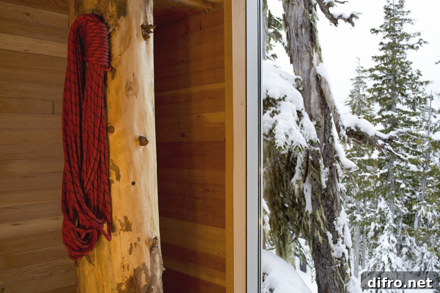 Douglas fir columns inside the cabin