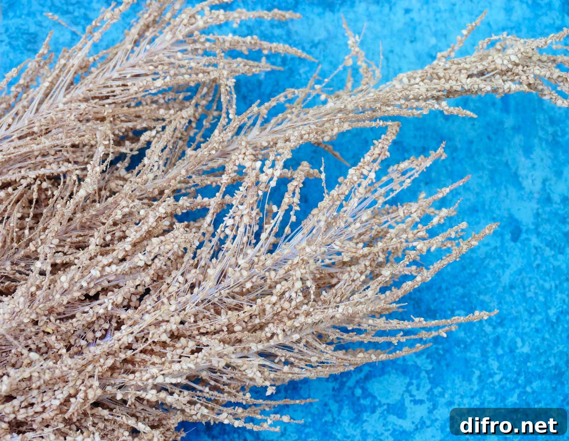 Dried fall foliage for DIY wreath