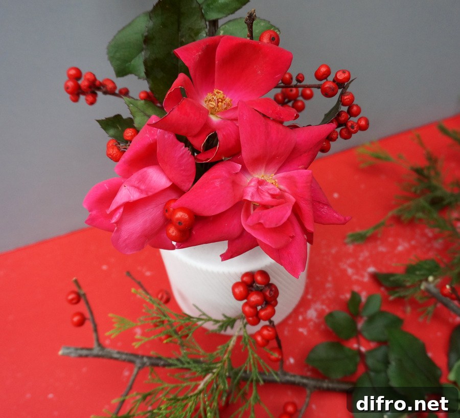 img 227168 14