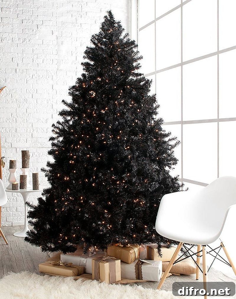 Large black Christmas tree with lights.