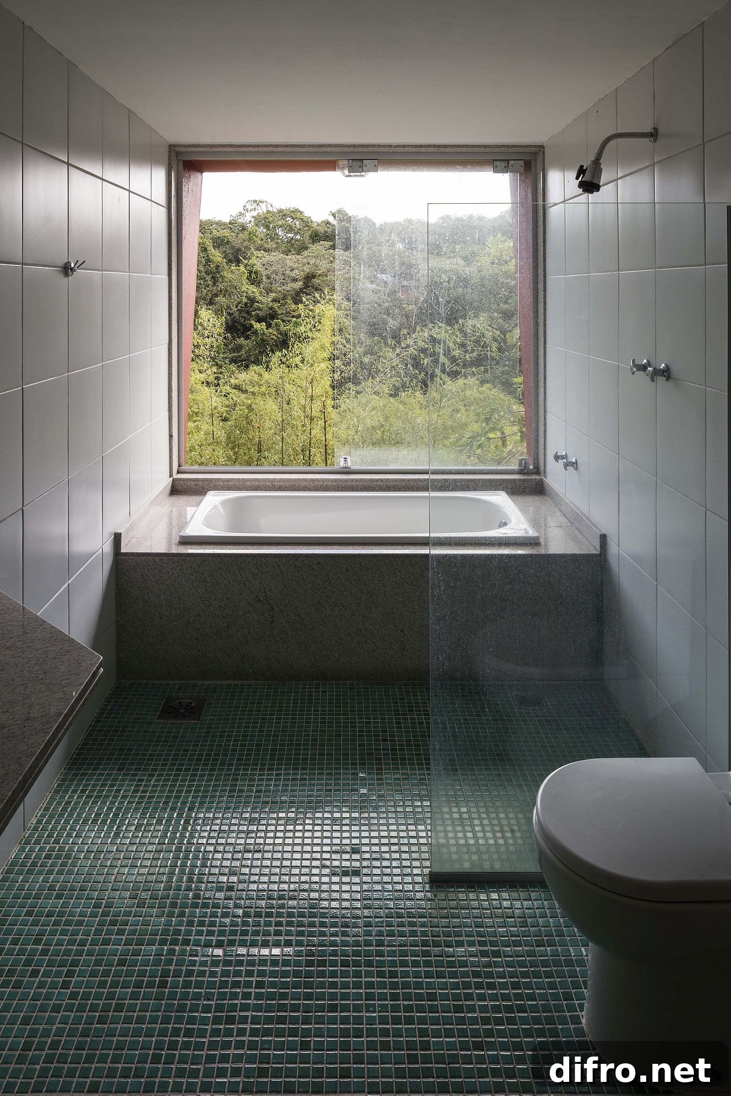 Bathroom with forest view