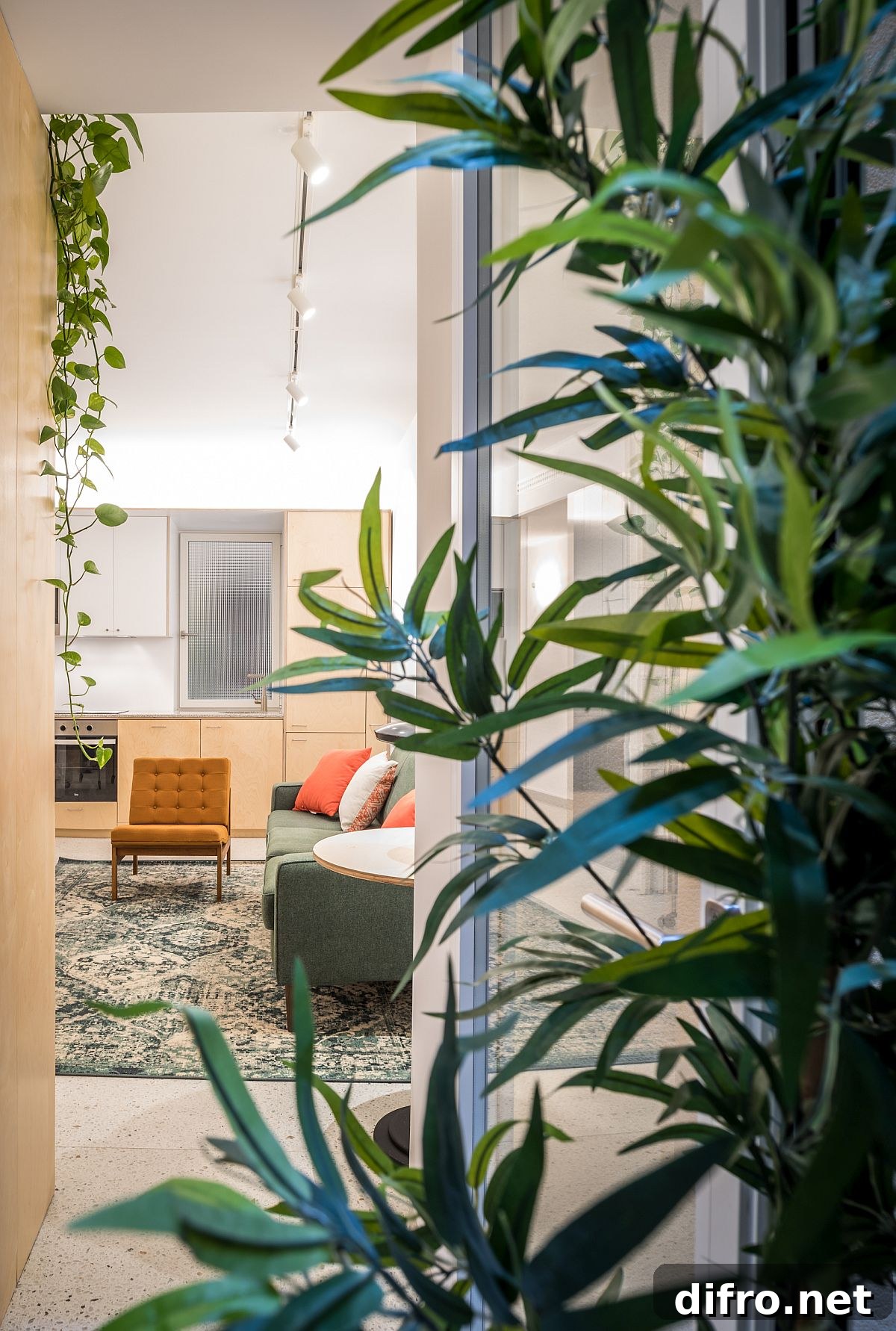 Partition-free apartment renovation feels easy on the eyes