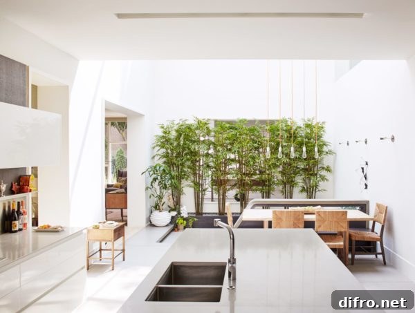 Bright interior centered around a row of bamboo in an atrium