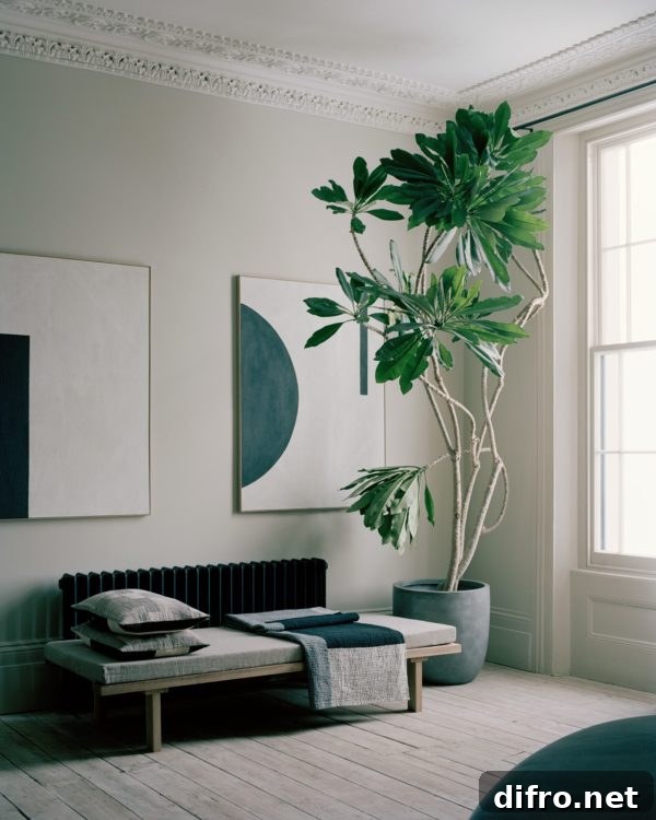 Living room with a large potted plant as a focal point