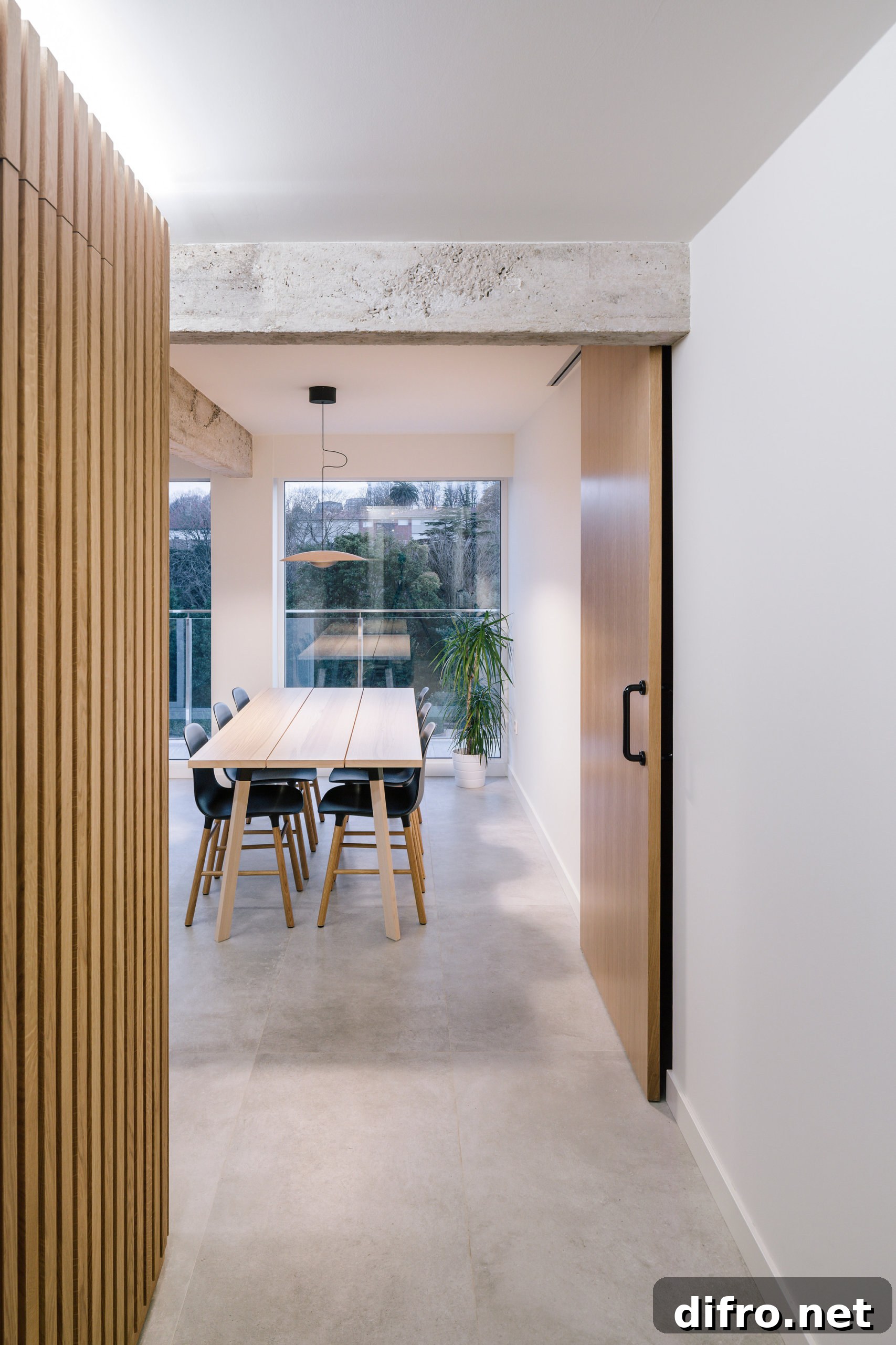 Natural light inside the renovated apartment
