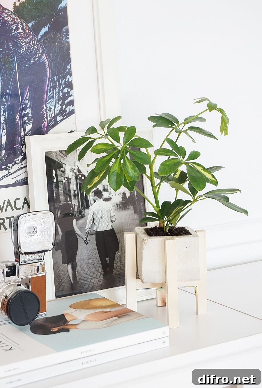 DIY concrete planter with wooden stand