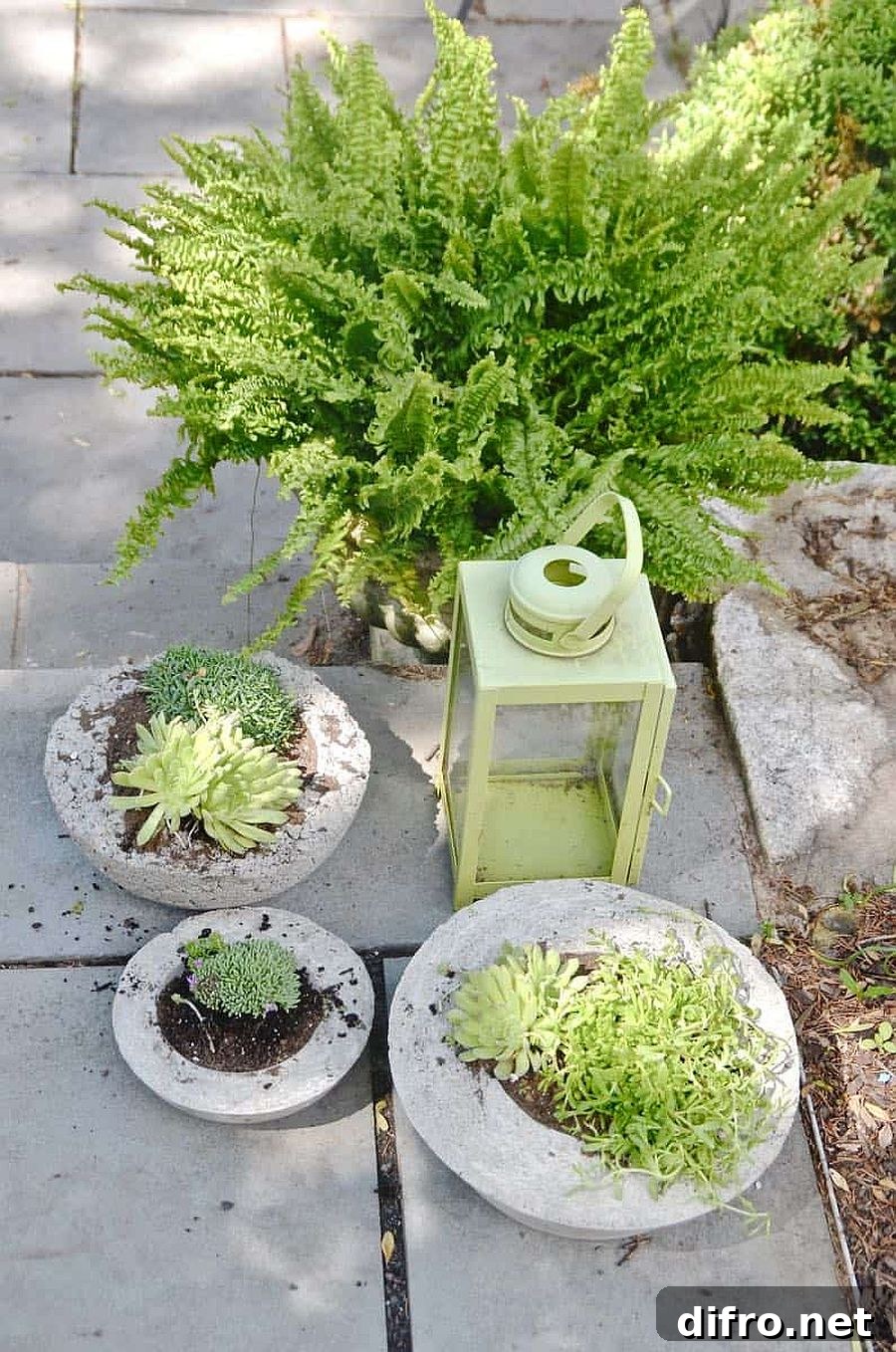 Outdoor DIY concrete planter idea
