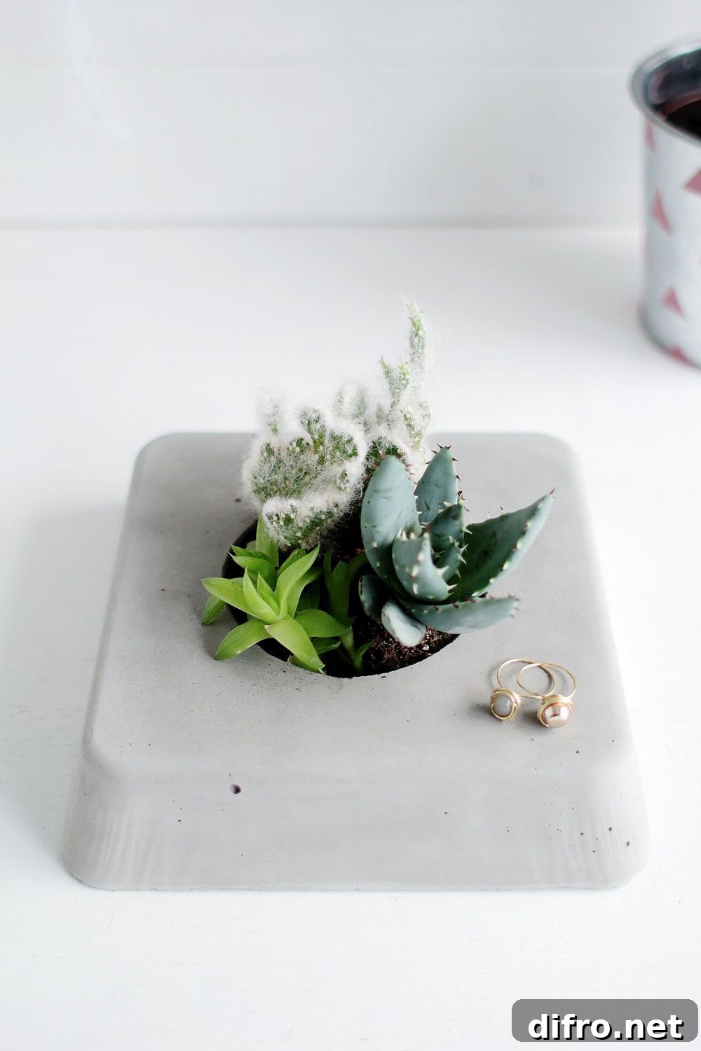 Homemade concrete succulent planters