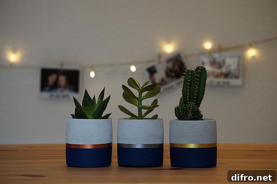 Small concrete planters with blue and metallic accents