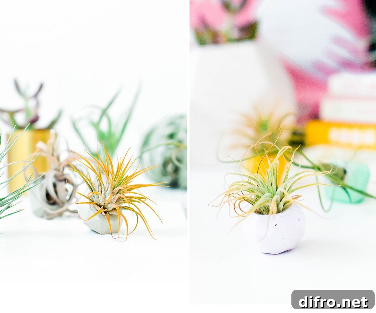 Geo-style concrete gem mini planters