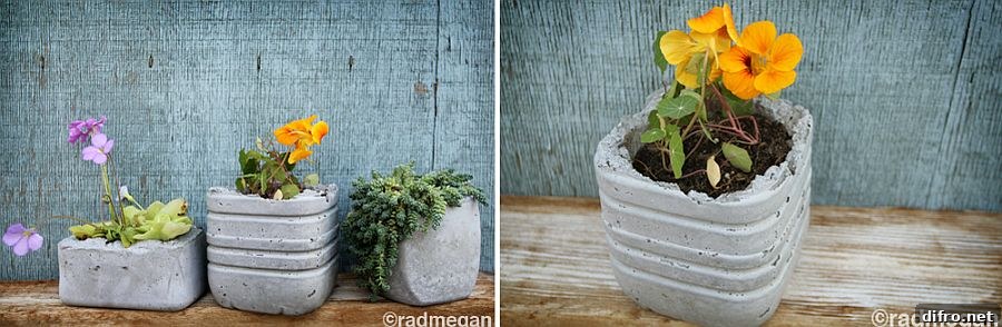 Modern molded concrete planters
