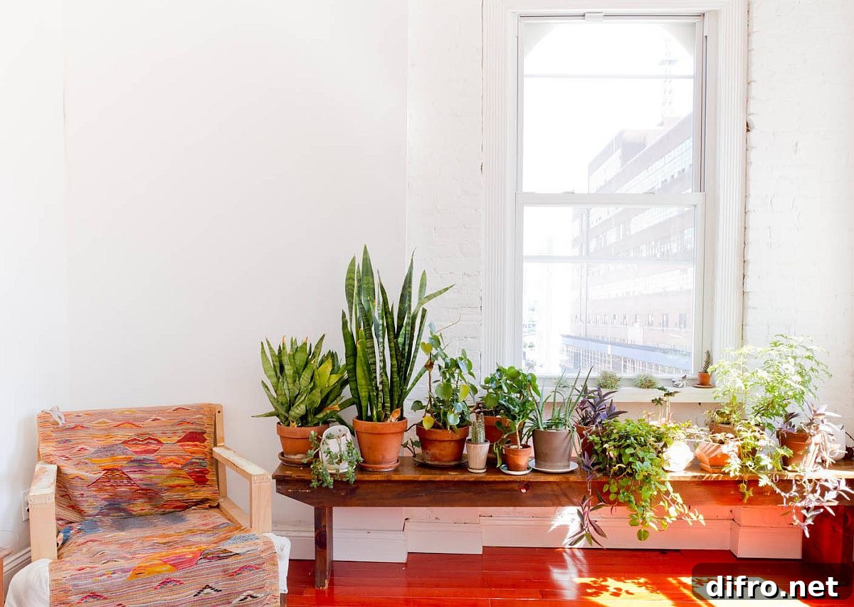 Collection of terracotta pots in a modern eclectic living room