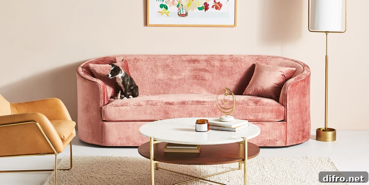 Warm tones and rounded sofa