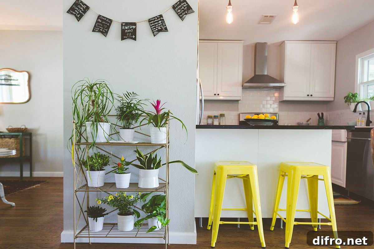 Modern eclectic kitchen with many plants