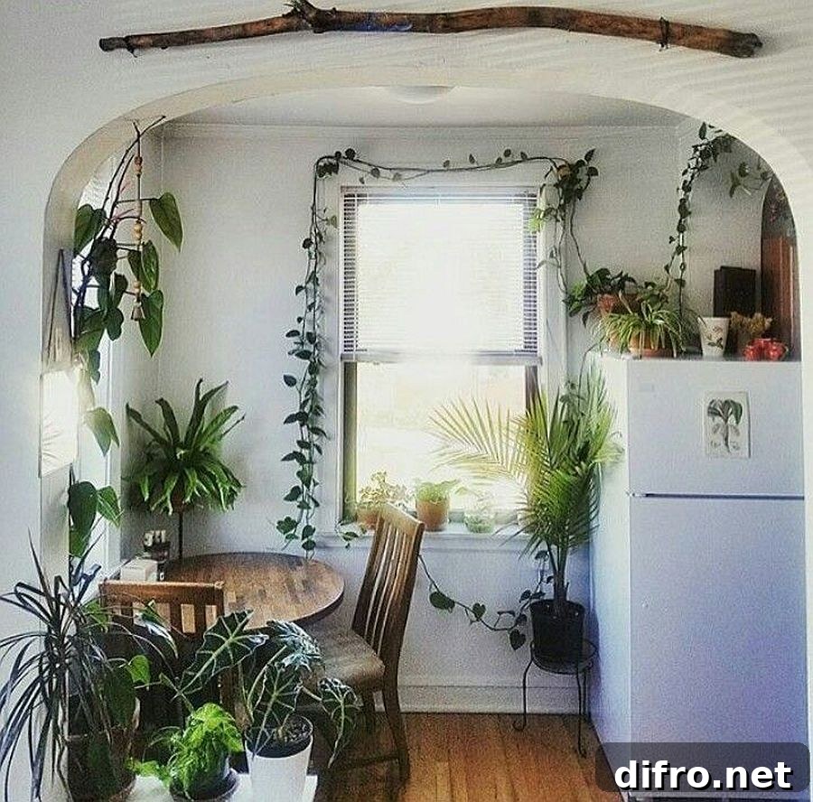 Small kitchen filled with greenery