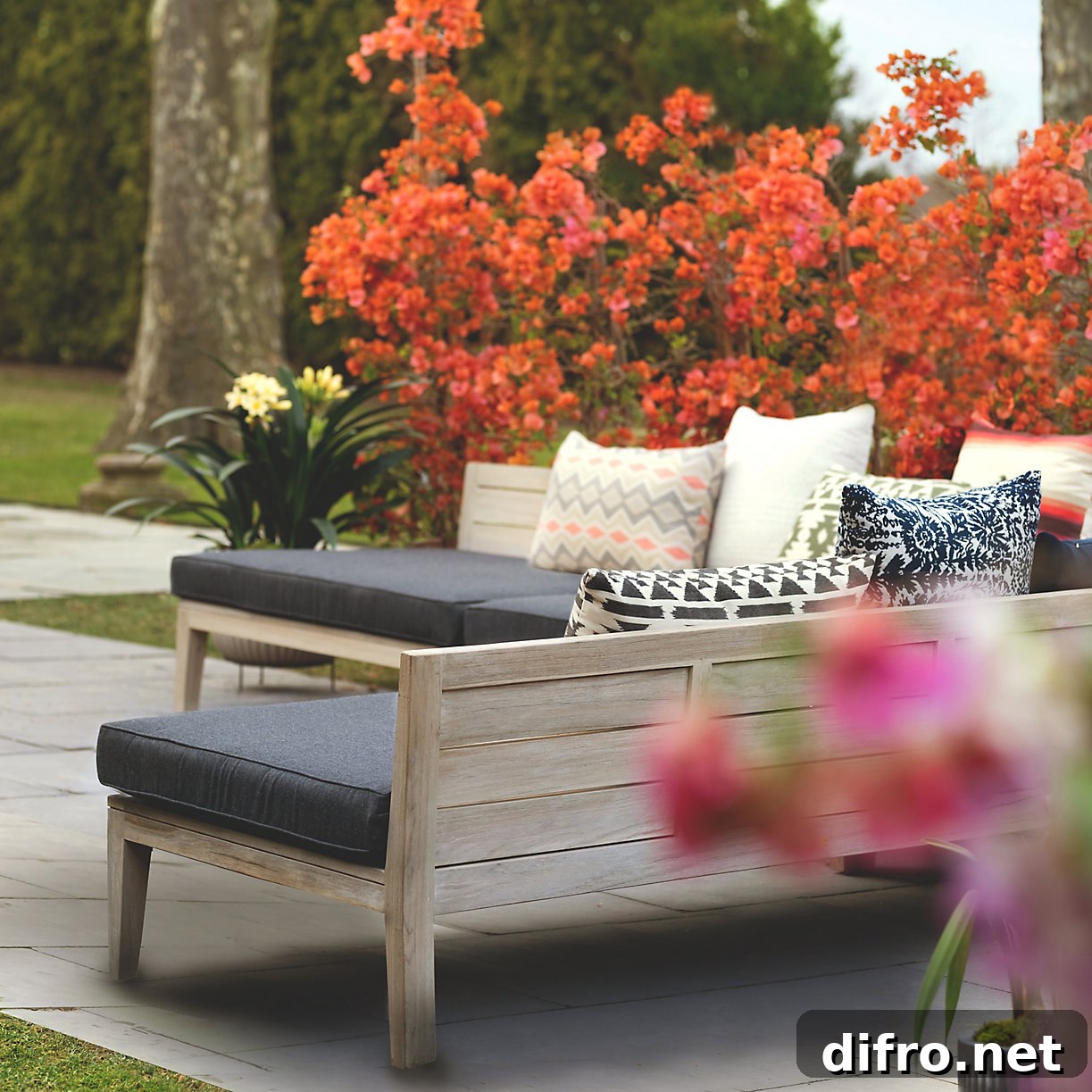 Outdoor teak furniture styled with cushions and plants