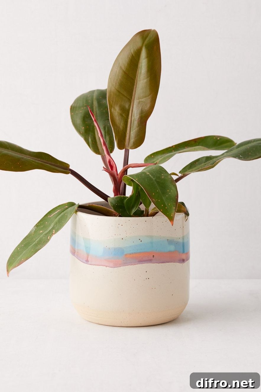 Ceramic striped planter with plant