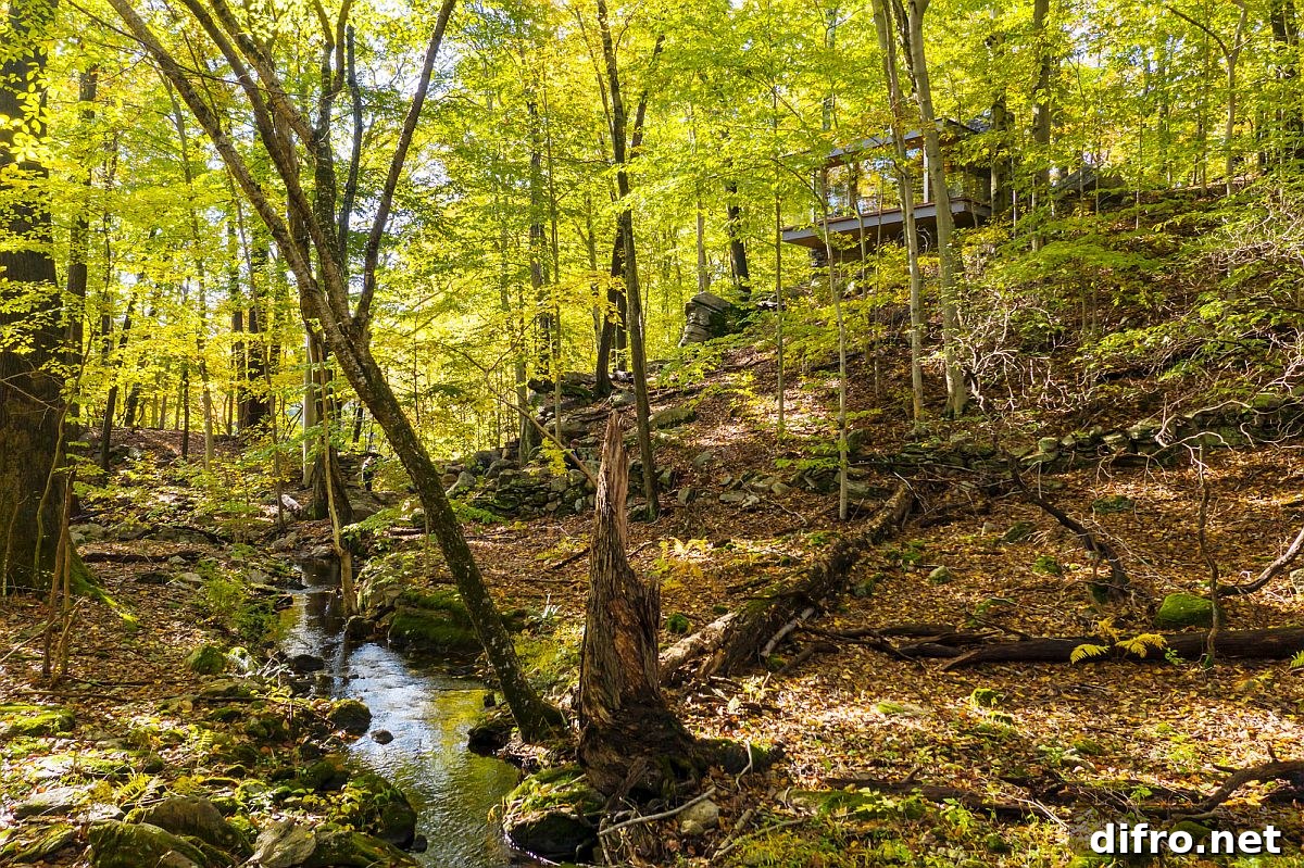 Landscape with water feature and oak trees around the studio