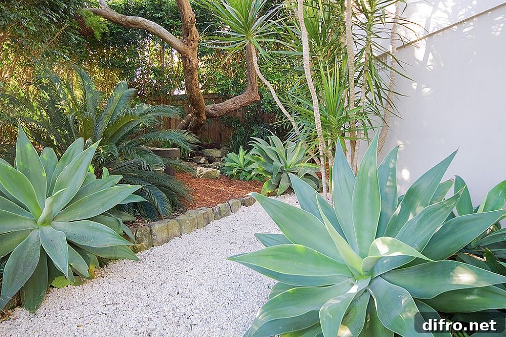 Curated small contemporary garden for the modern family home in Cremorne