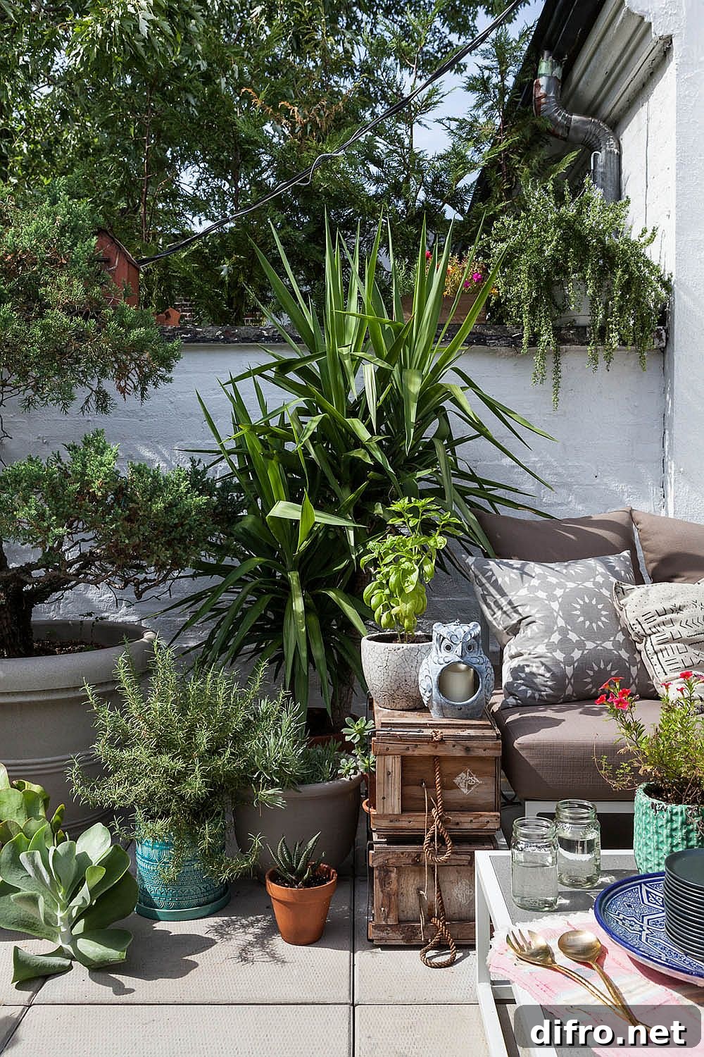 Patio with potted plants and reclaimed decor