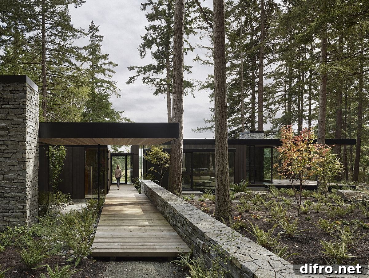 Sheltered entrance among cedar and fir trees