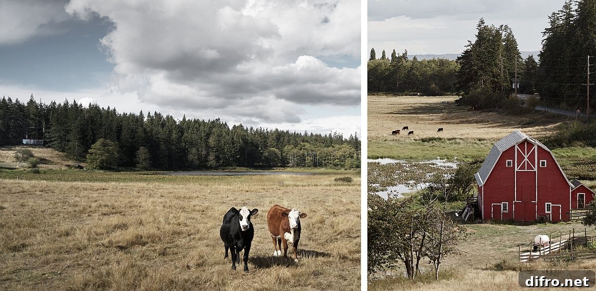 Natural landscape becomes part of the house thanks to glass walls