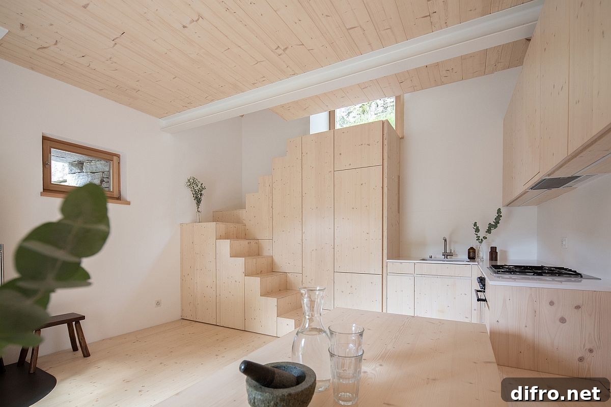 Wood and white living area filled with natural light
