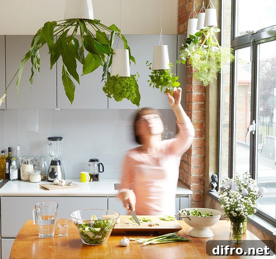 Boskke Sky Planters hanging from ceiling