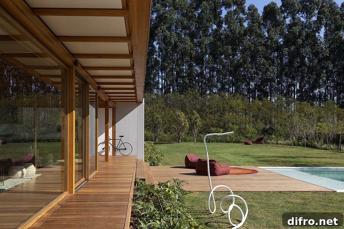 Dense vegetation offering privacy