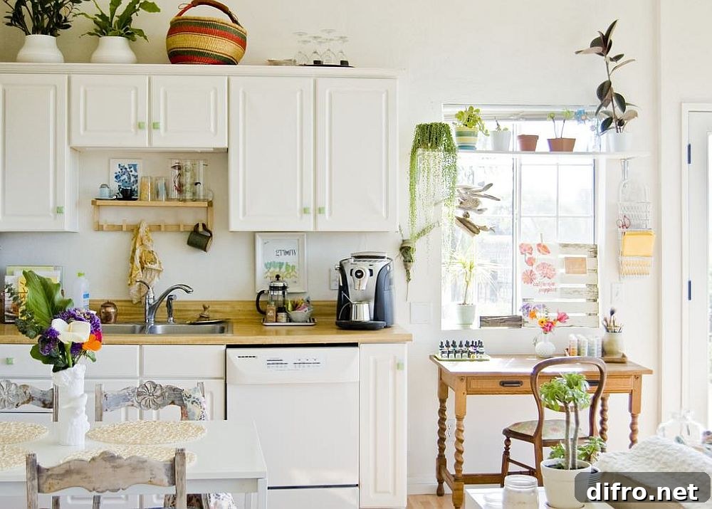 Indoor plants in a contemporary white kitchen