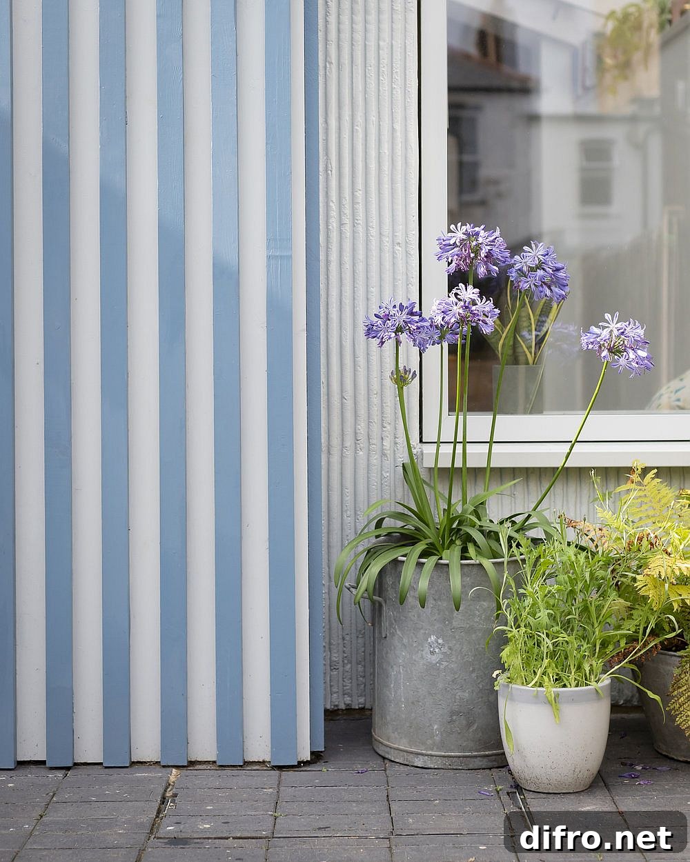 Finding a balance between the old and the new with a rear extension that revamps classic British home