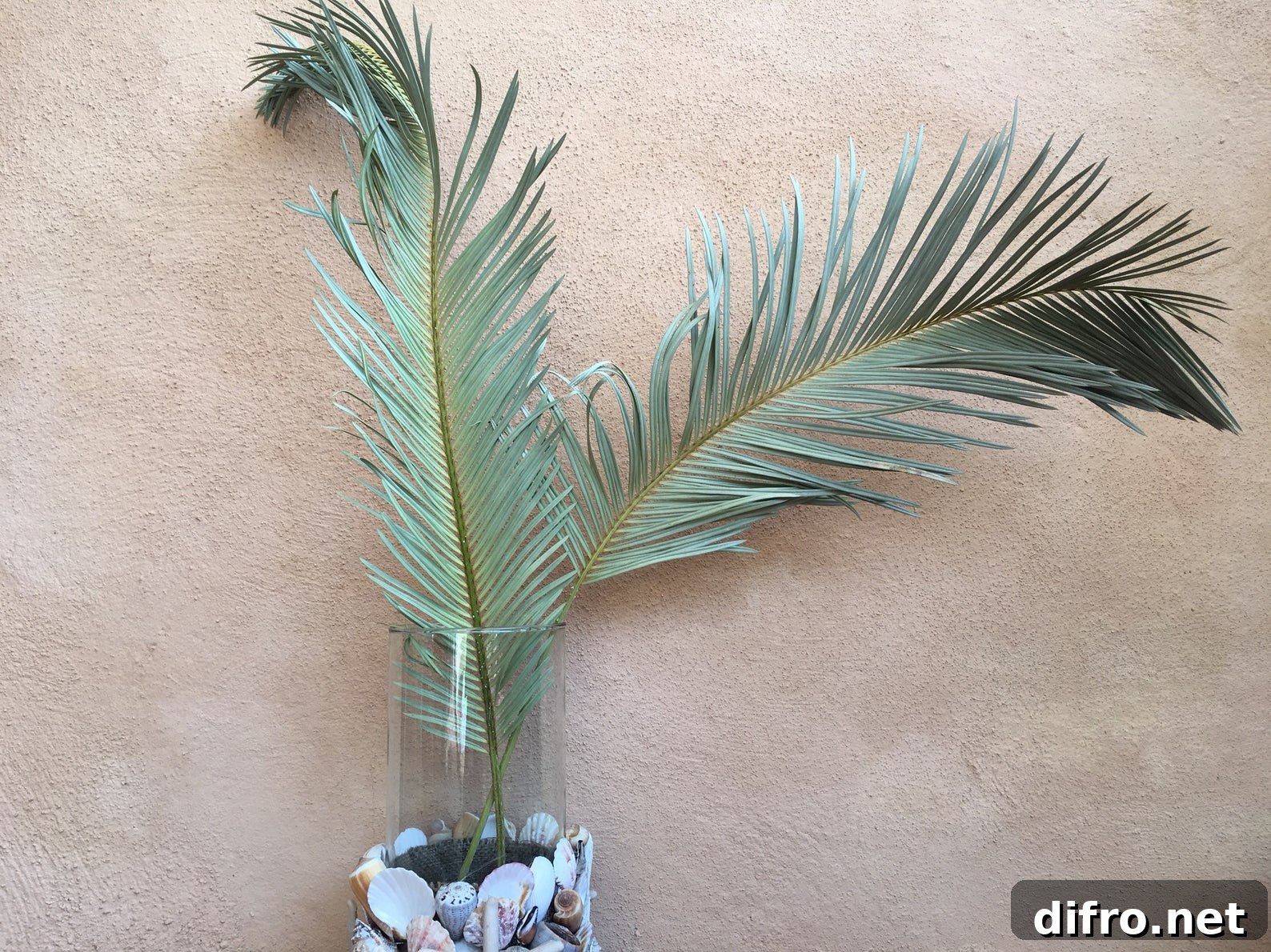 Dried sago palm leaves