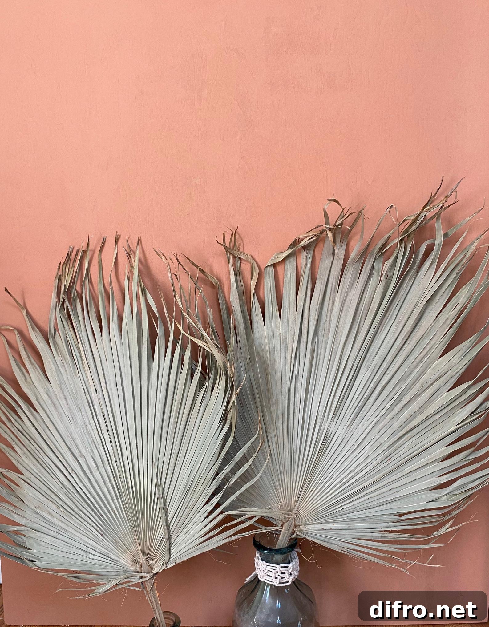 Dried fan palm leaves